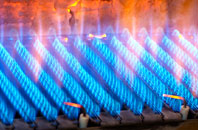 Liden gas fired boilers